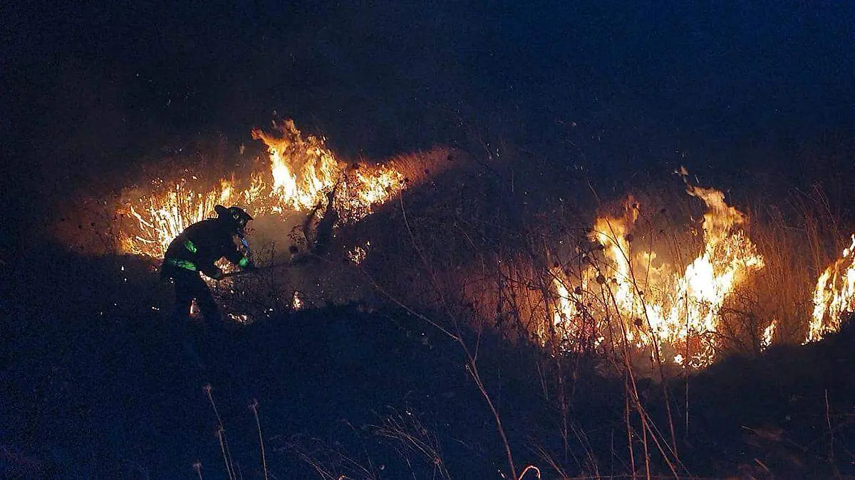 Incendio forestal